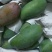 大青芒10两以上