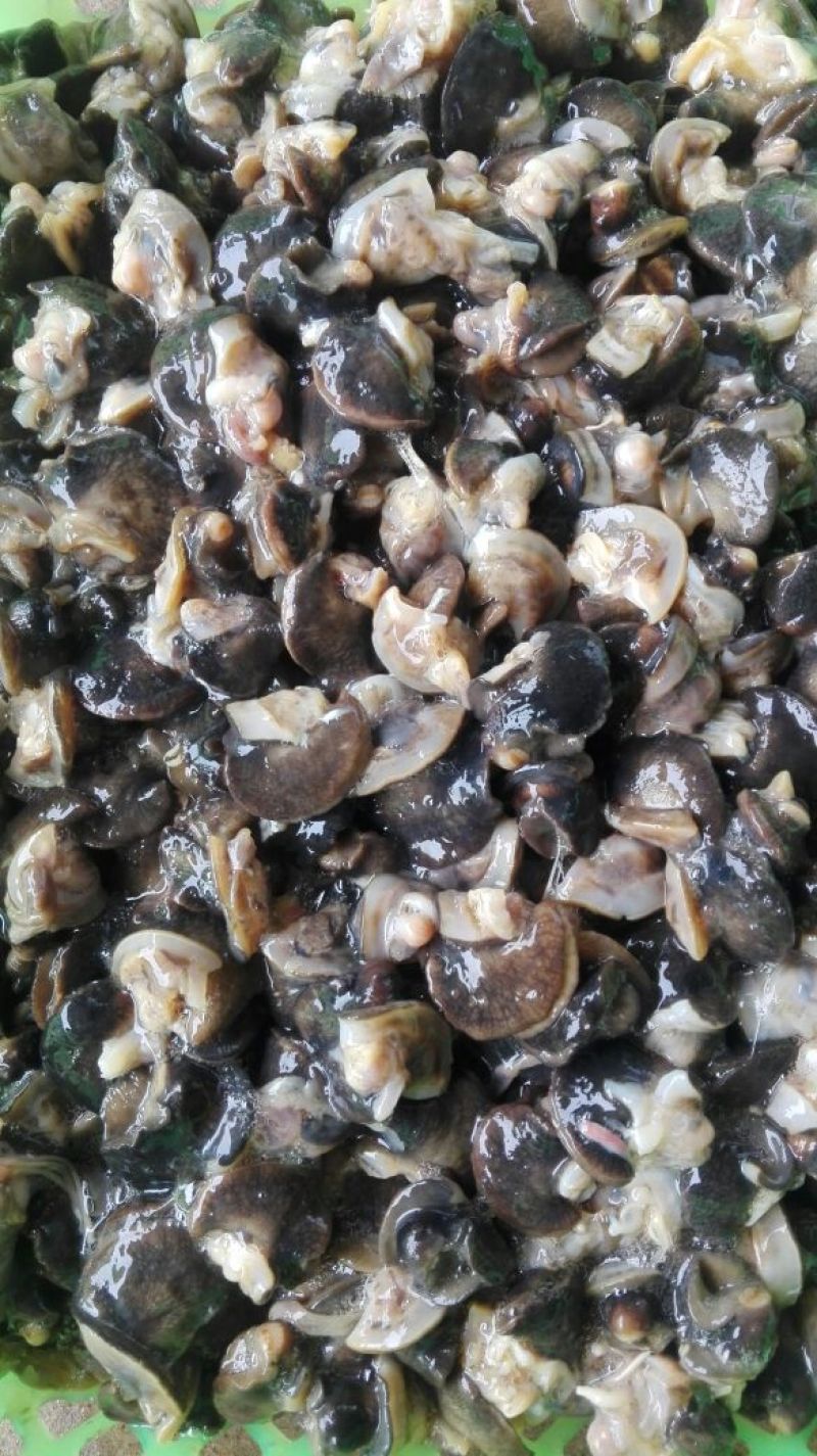 天然绿色褐云玛瑙黑蜗牛肉