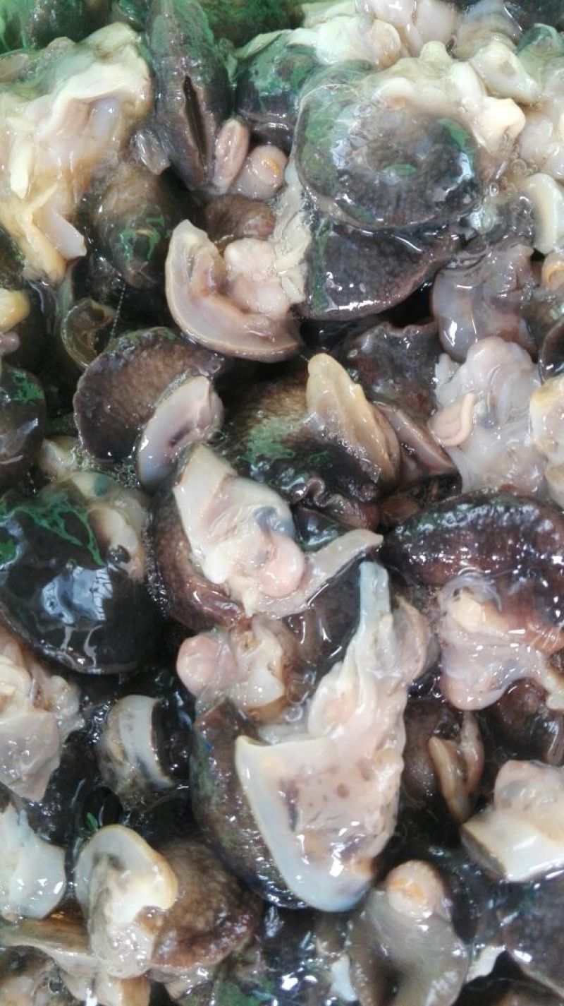 天然绿色褐云玛瑙黑蜗牛肉