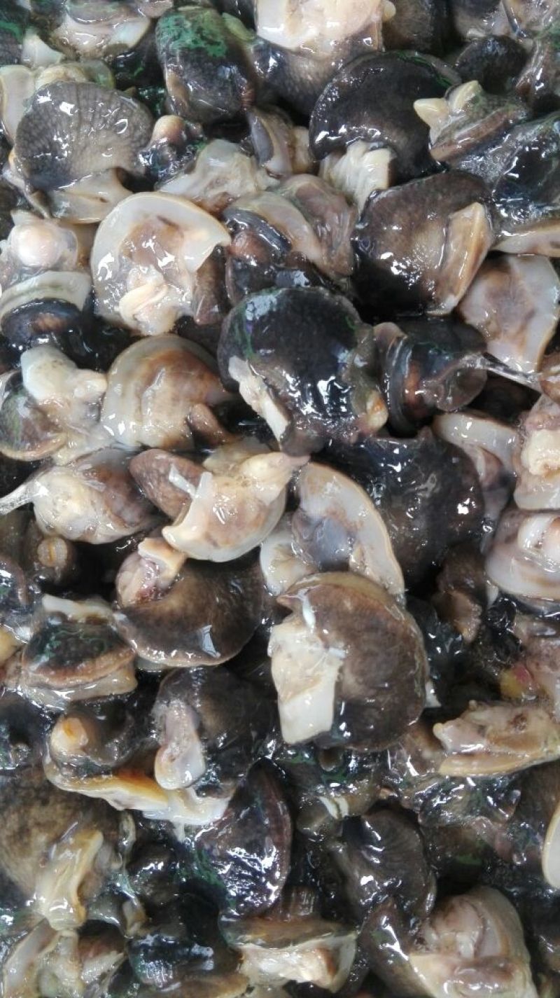 天然绿色褐云玛瑙黑蜗牛肉