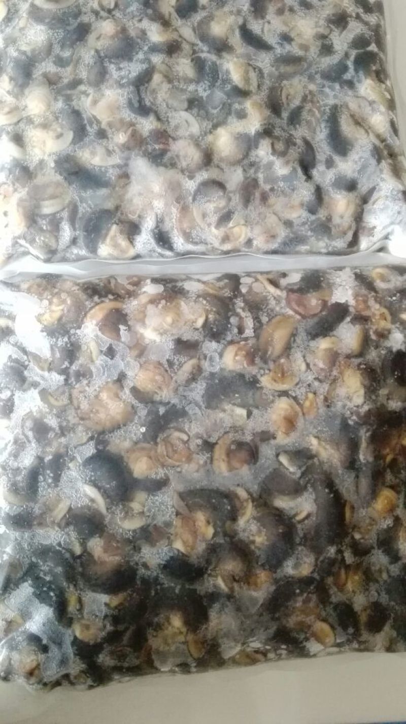 天然绿色褐云玛瑙黑蜗牛肉