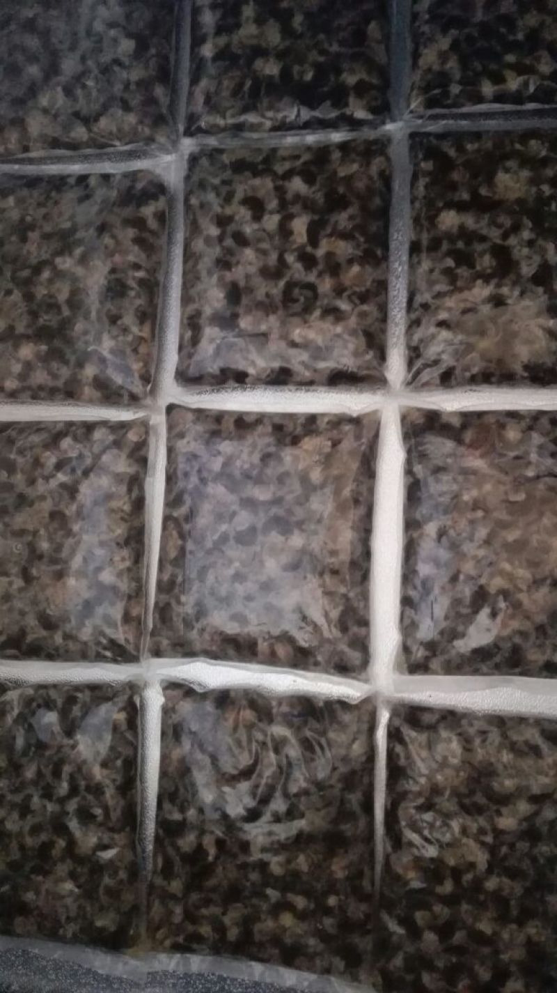 天然绿色褐云玛瑙黑蜗牛肉