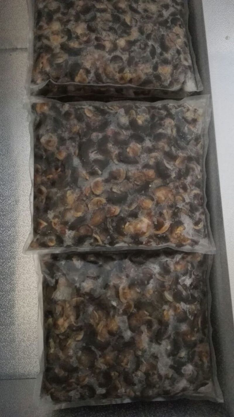 天然绿色褐云玛瑙黑蜗牛肉
