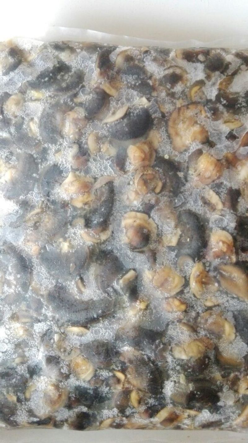 天然绿色褐云玛瑙黑蜗牛肉