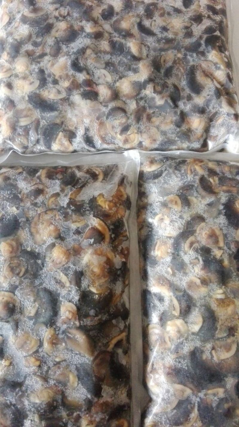 天然绿色褐云玛瑙黑蜗牛肉