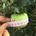 藤牧1号苹果光果