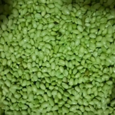 毛豆粒18~24克