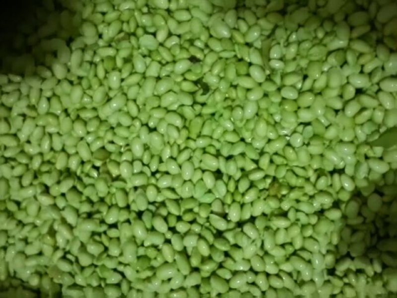 毛豆粒18~24克