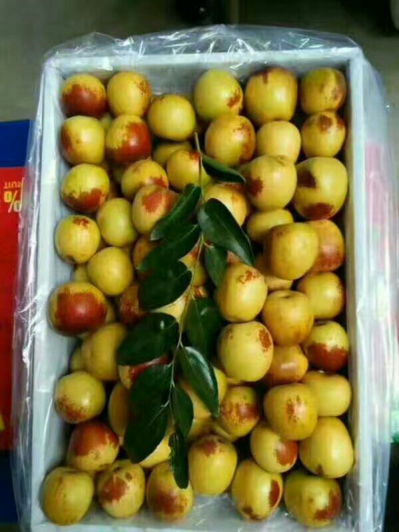 大荔冬枣大量上市大棚摇园，商品，，，，，，