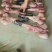 驴肉鲜货