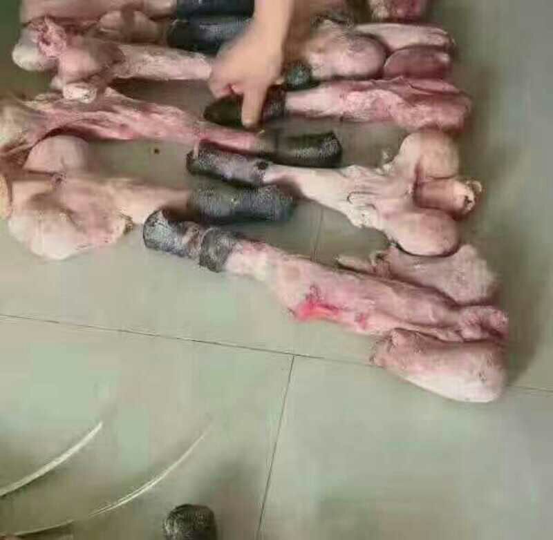驴肉鲜货