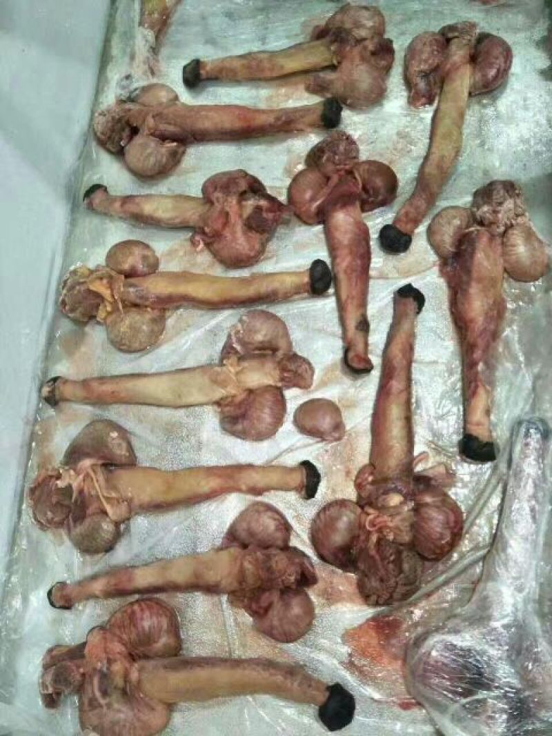 驴肉鲜货