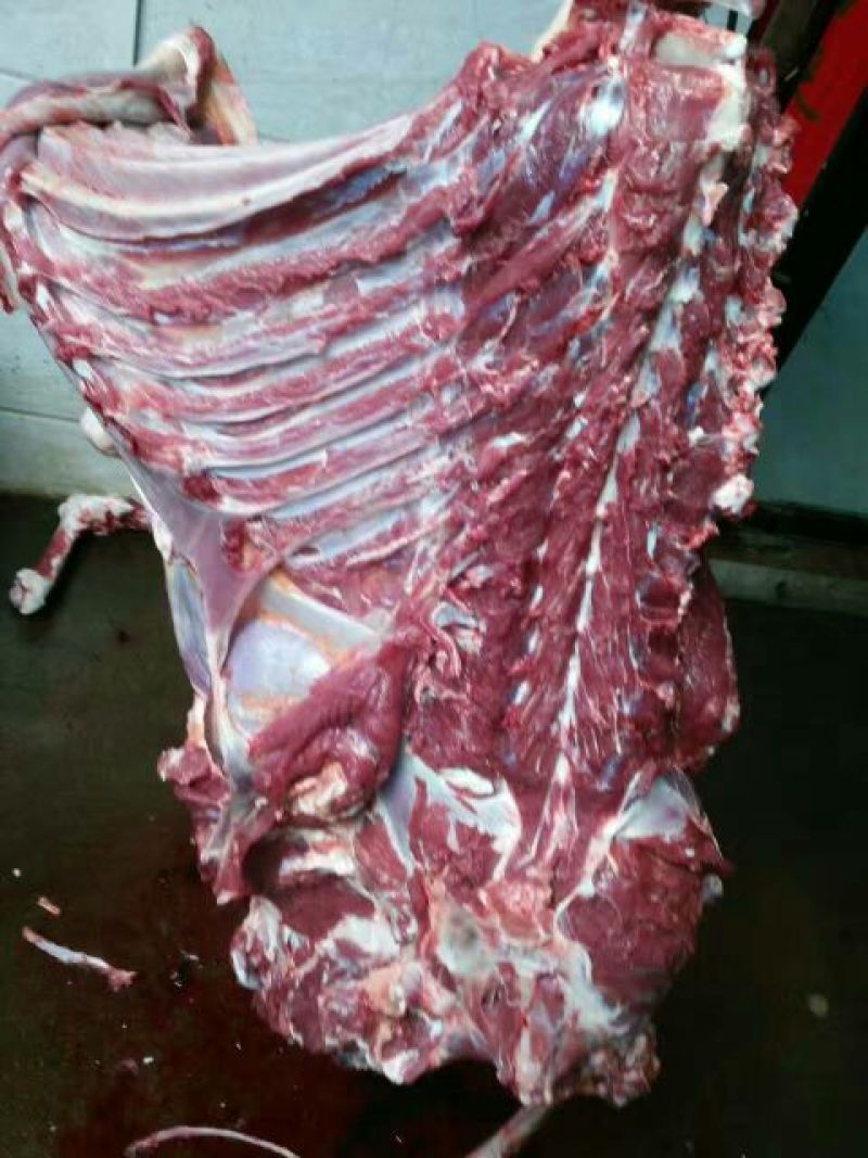 驴肉鲜货