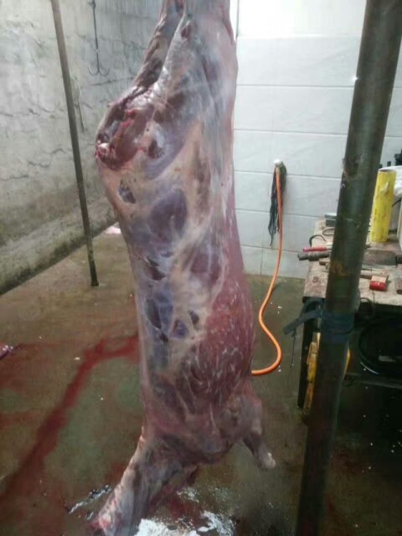 驴肉鲜货