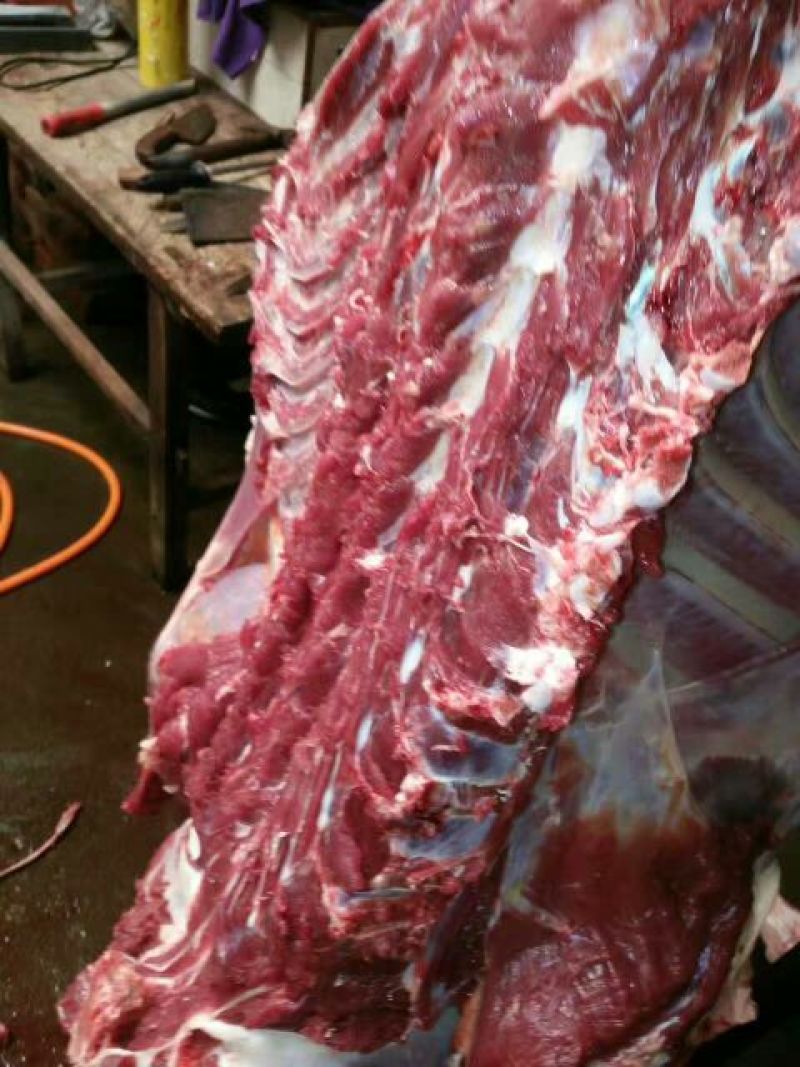 驴肉鲜货