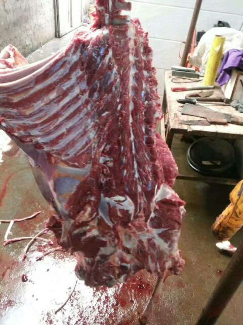 驴肉鲜货