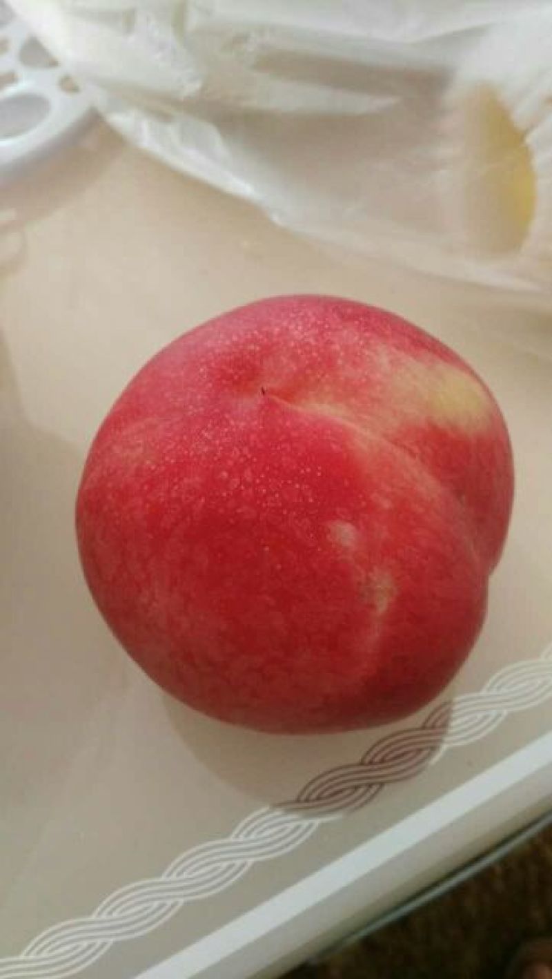 山东双奥红，黄金三号中桃五产地直供，一手货源，颜色鲜艳
