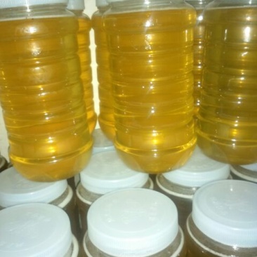 蜂蜜蜂产品自产自销