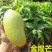 芒果苗金煌,四季,红贵妃,桂七,台农澳洲芒果苗