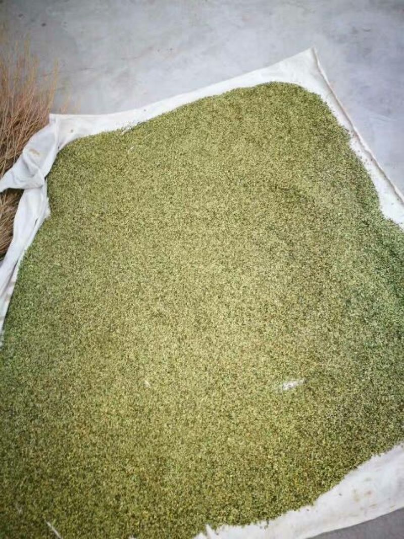 荷叶茶特级