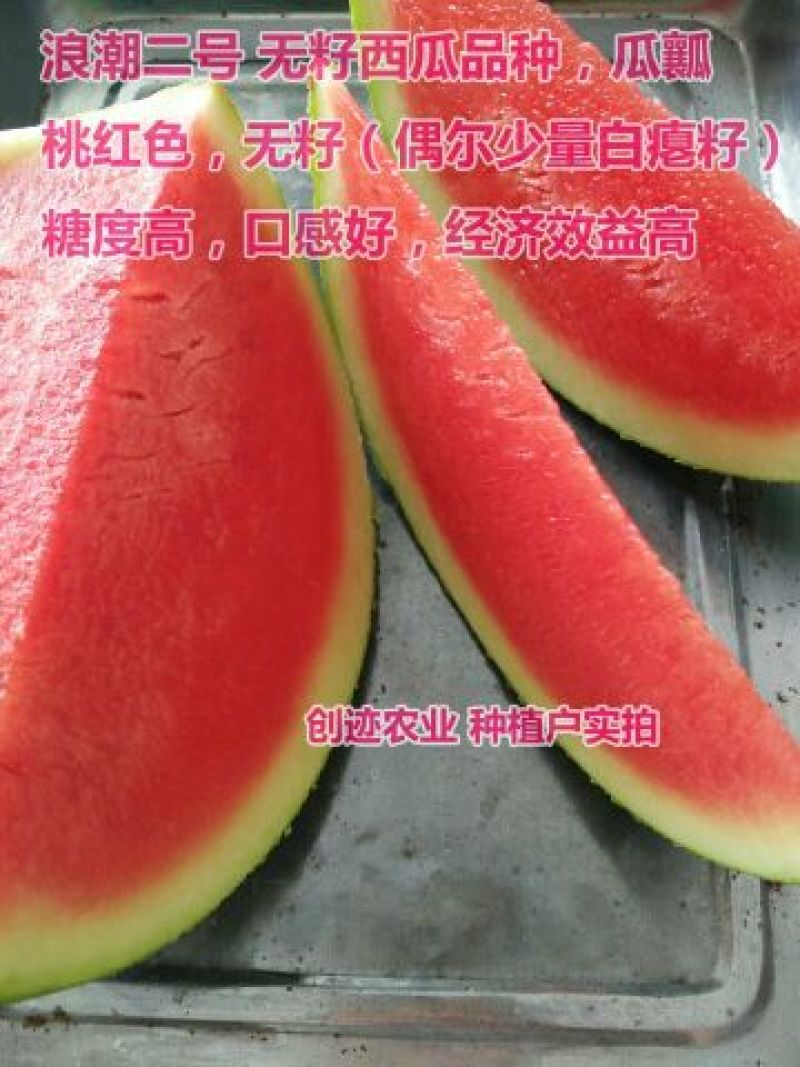精品美都西瓜精品西瓜保甜超甜保质保量量大从优