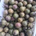 紫香一号紫果40~50g