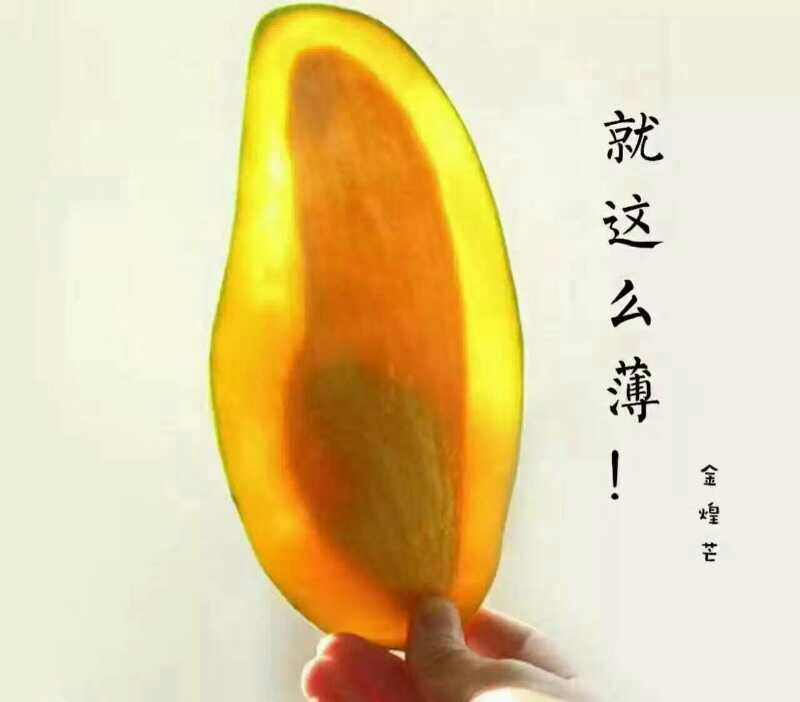 芒果2两以上