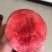 黄桃树苗80cm以上