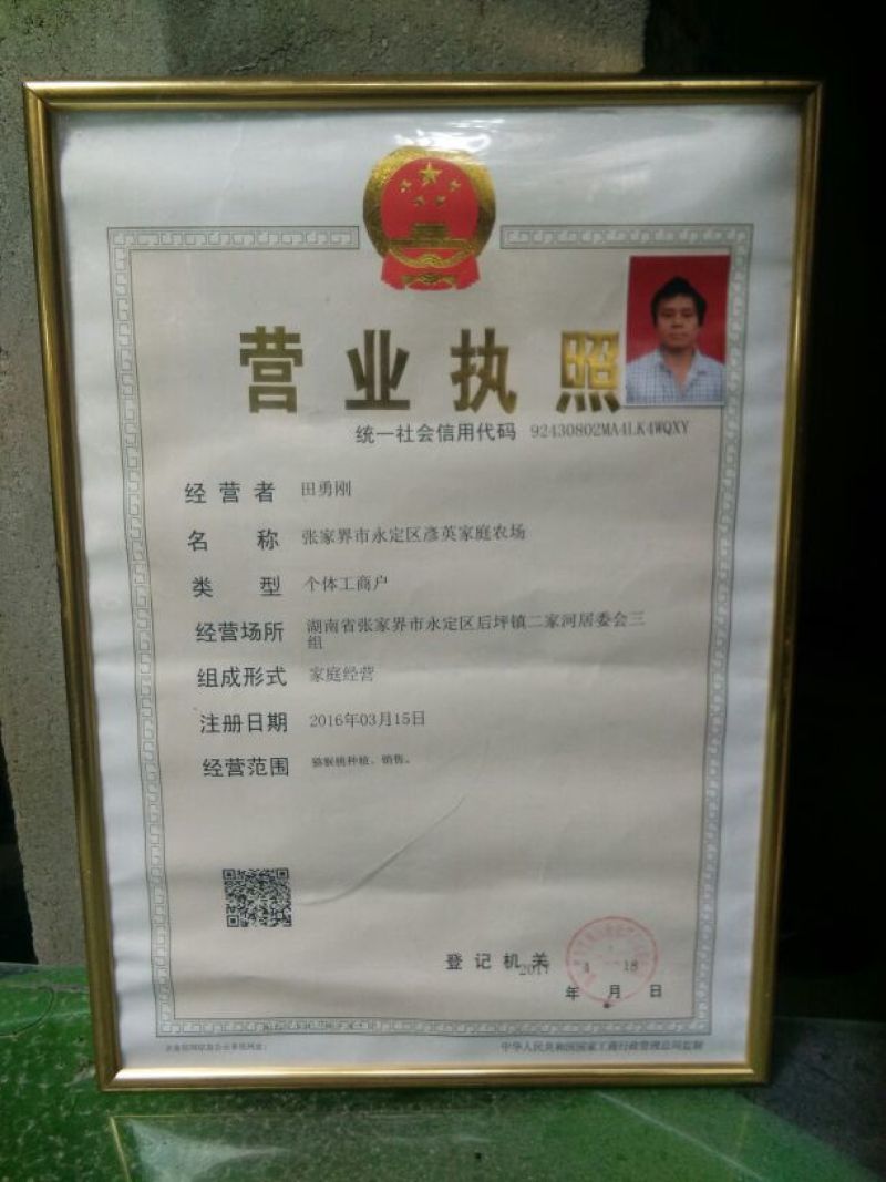 黄金奇异果80~100克6斤/件包毗