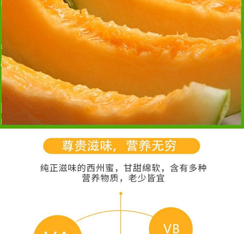 西州蜜瓜3斤以上椭圆形
