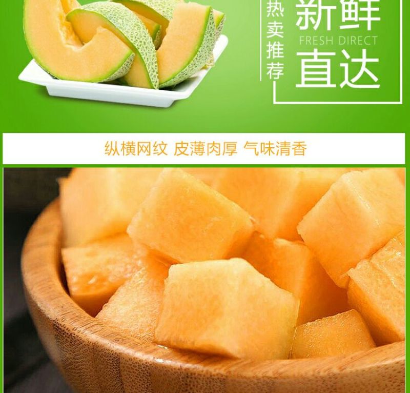 西州蜜瓜3斤以上椭圆形