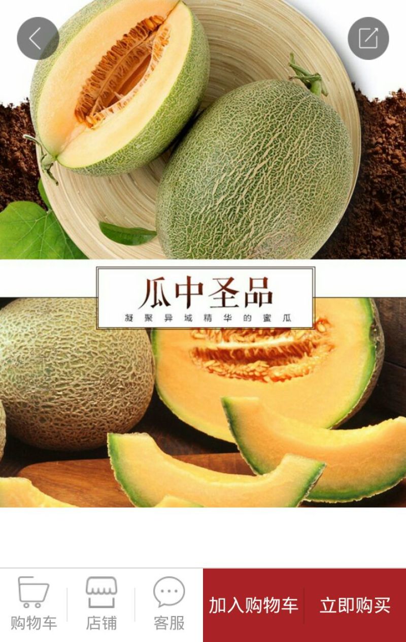西州蜜瓜3斤以上椭圆形