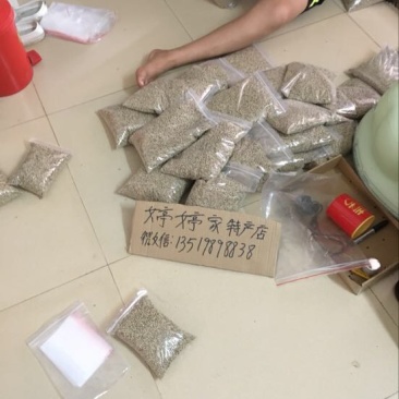 海南白胡椒海南散装I兴隆特产今年新椒批发包邮