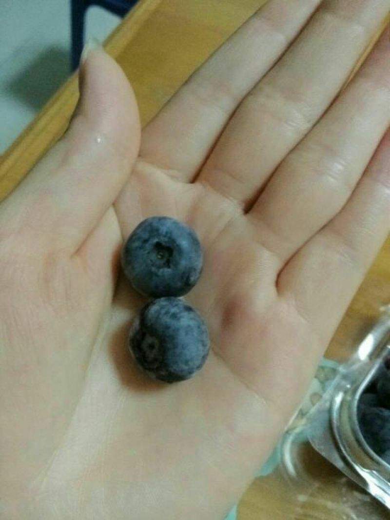 兔眼蓝莓10~12mm以上鲜果