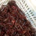 小青龙16~20只/kg