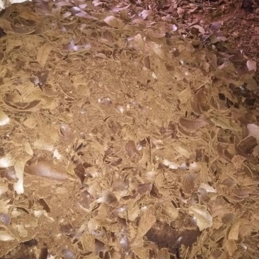油枯