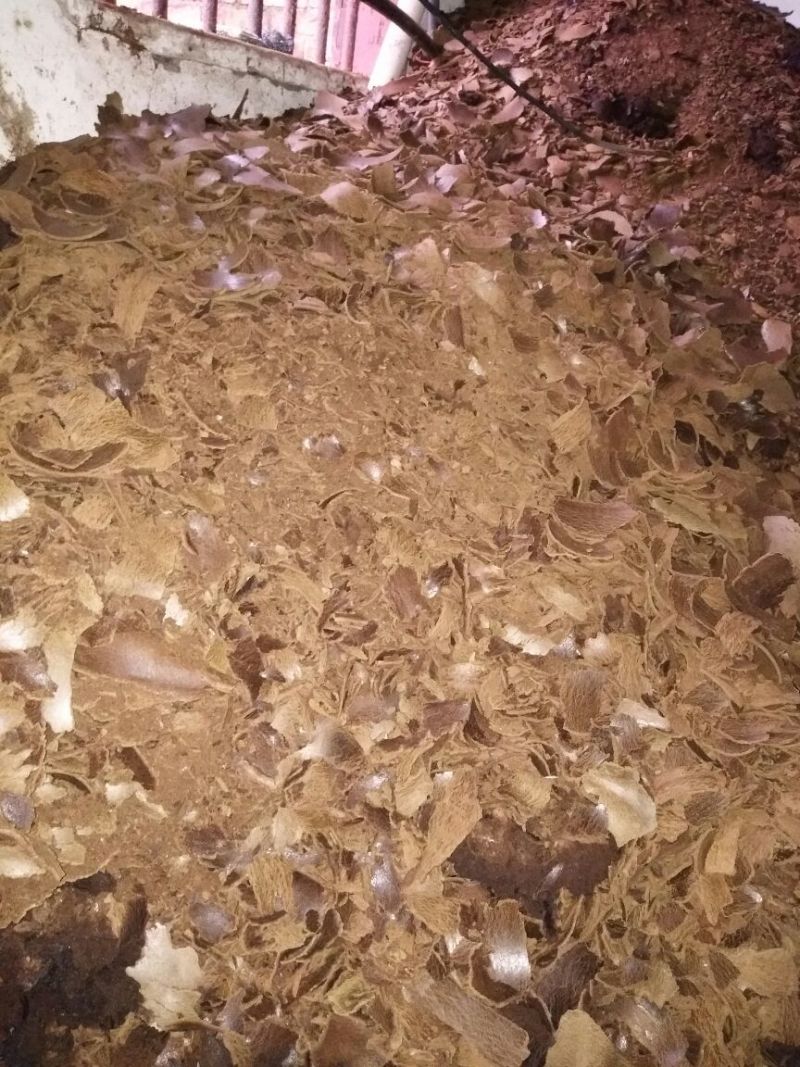 油枯