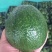牛油果200g以上