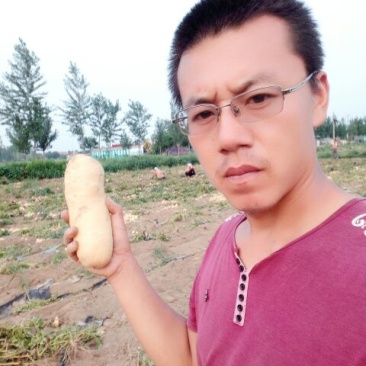 荷兰十五土豆3两以上通货