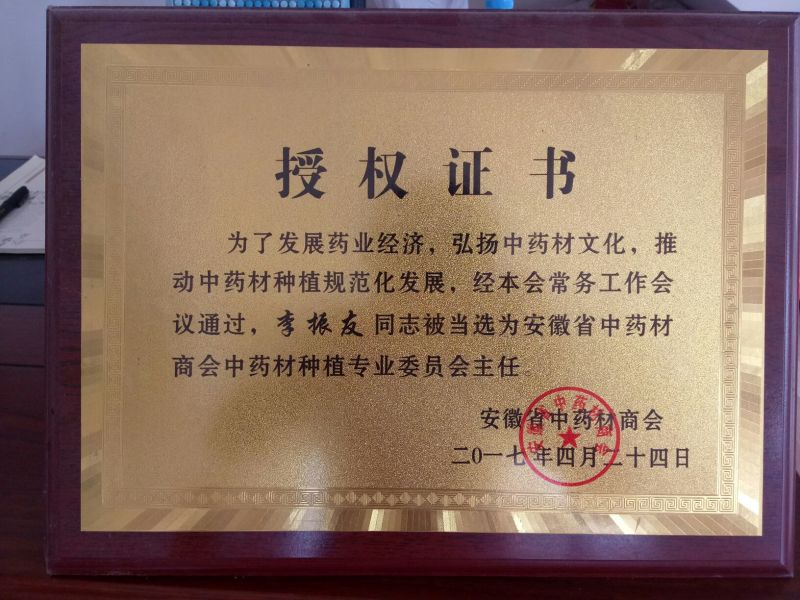 芍药苗10cm以下