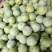 香脆李30mm以上