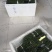 不知火枝条10~20cm