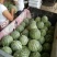 8424西瓜🍉