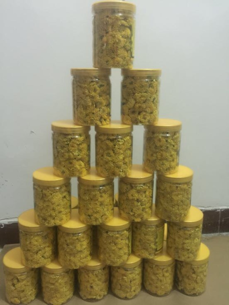 菊花茶特级