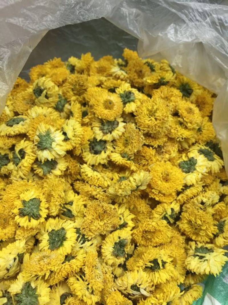 菊花茶特级