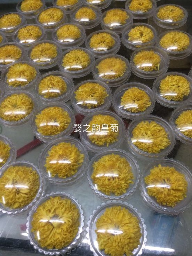 菊花茶特级