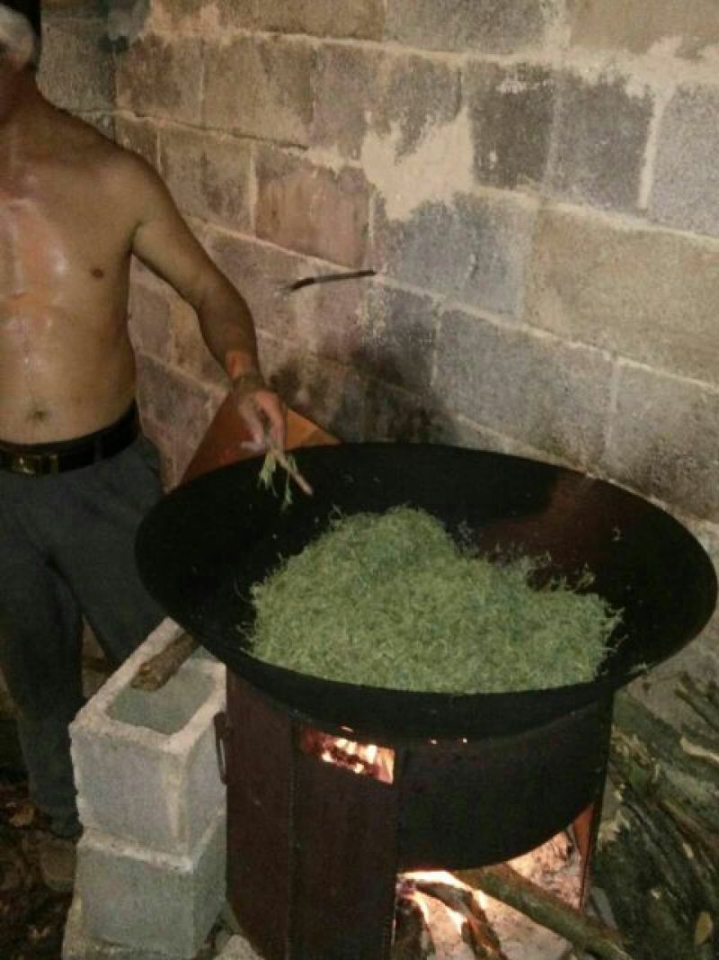 藤条茶特级