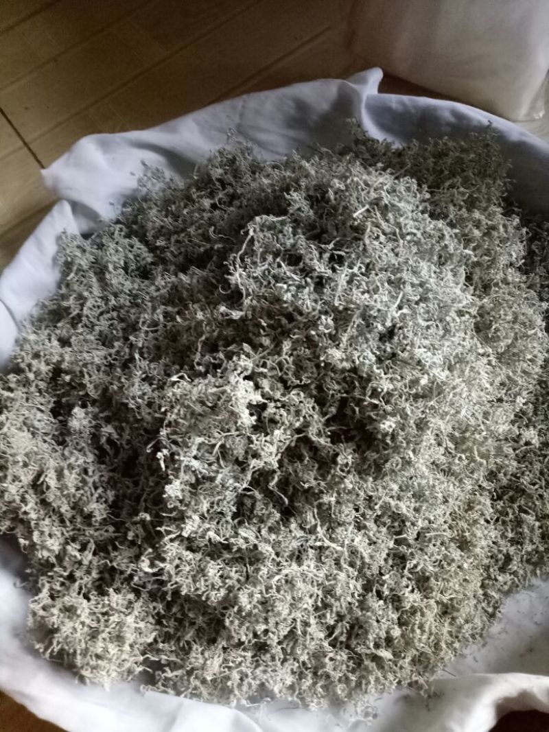 藤条茶特级