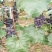 葡萄1~2斤5%以下