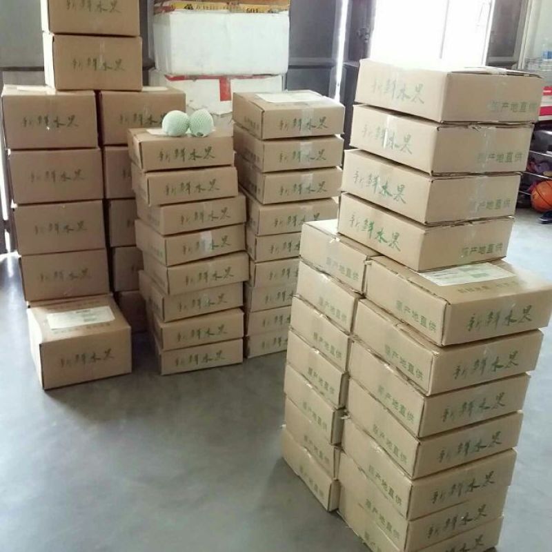 珍珠番石榴80~90mm白心